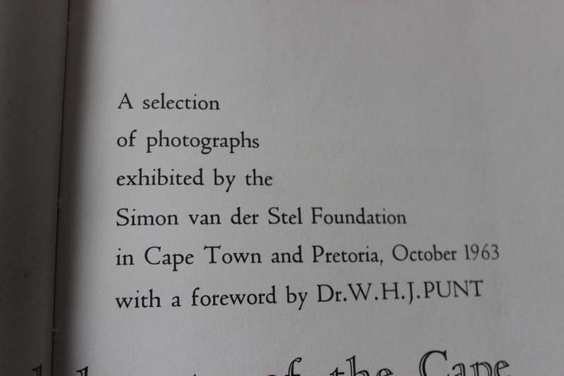 THE WHITE WALLED BEAUTY OF THE CAPE.     (P)