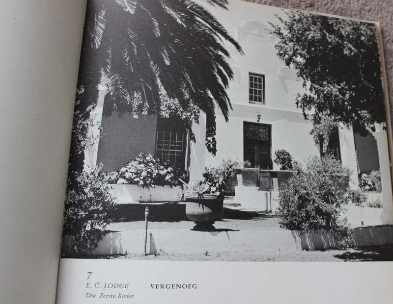 THE WHITE WALLED BEAUTY OF THE CAPE.     (P)