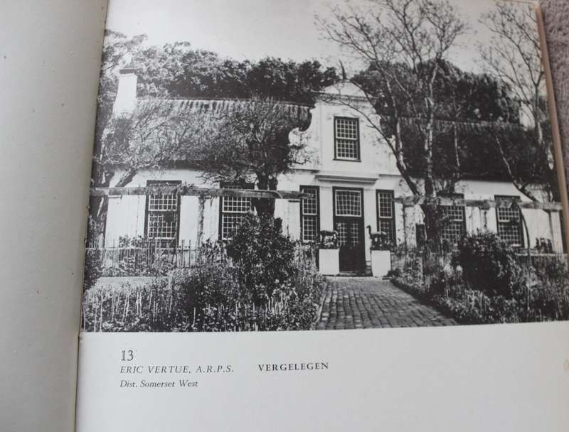 THE WHITE WALLED BEAUTY OF THE CAPE.     (P)