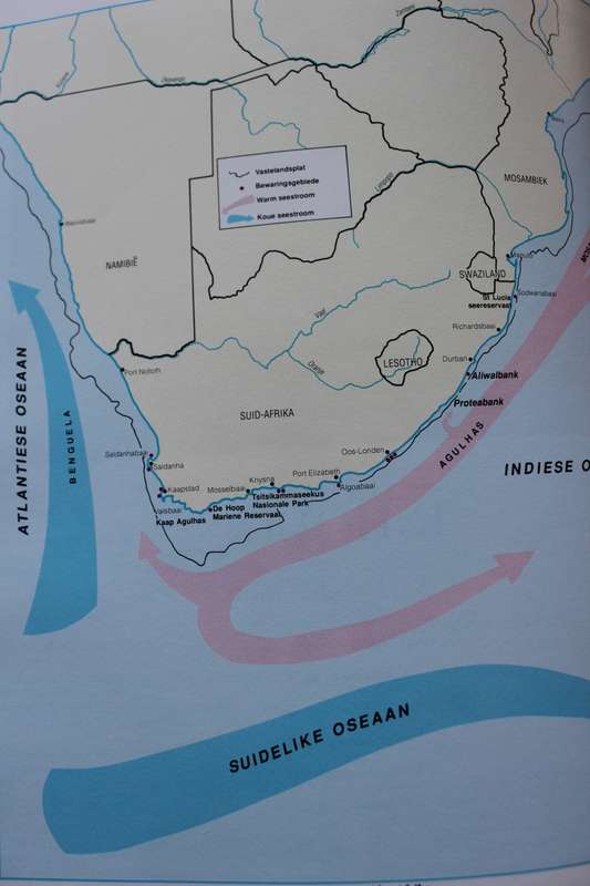 'N GIDS TOT SEEVISSE VAN SUIDER-AFRIKA. Rudy van der Elst. Fotografie deur Dennis King.   (P)