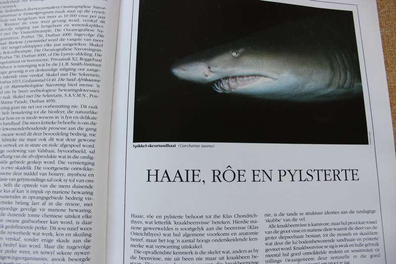 'N GIDS TOT SEEVISSE VAN SUIDER-AFRIKA. Rudy van der Elst. Fotografie deur Dennis King.   (P)