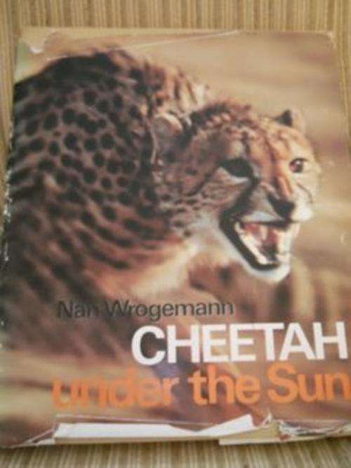 Cheetah under the Sun - Nan Wrogemann
