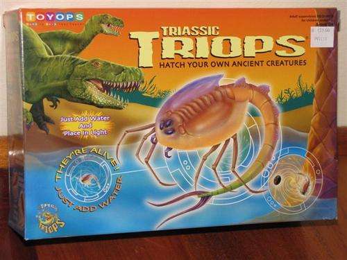 Triassic Triops - Hatch your own ancient creatures!! Scientific and educational