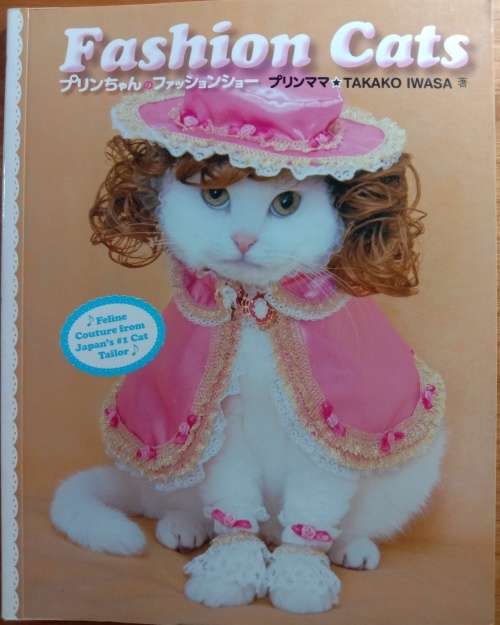 Fashion cats- Takako Iwasa