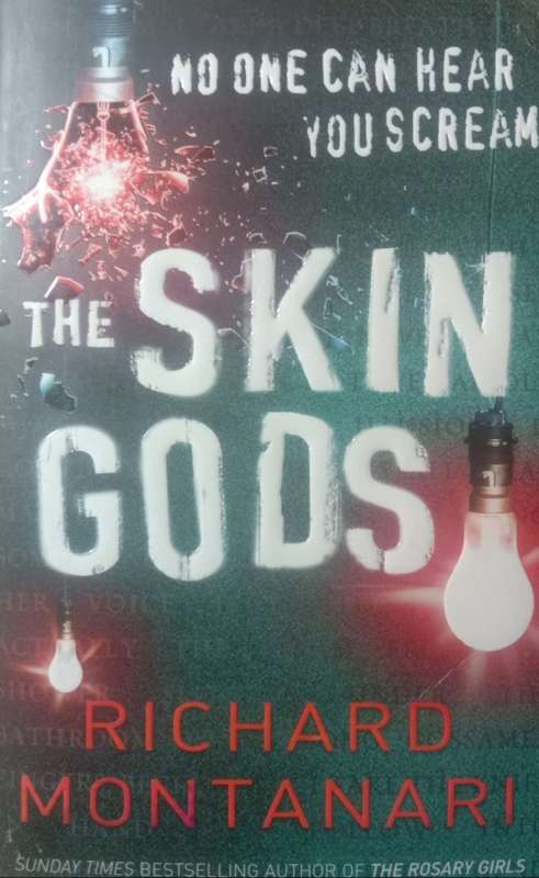 Richard Montanari : The skin Gods