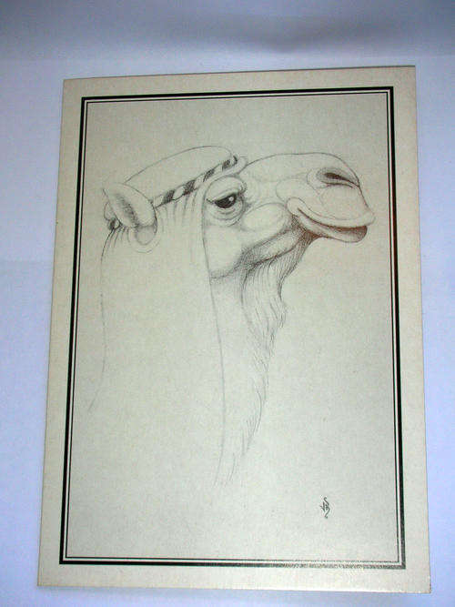 Rare John Biccard Greeting Card - Vintage