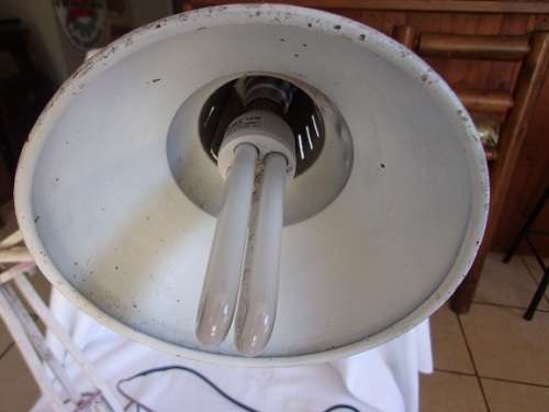 Vintage Luxo U.S. Pat. No. 2787434 anglepoise lamp and base - working