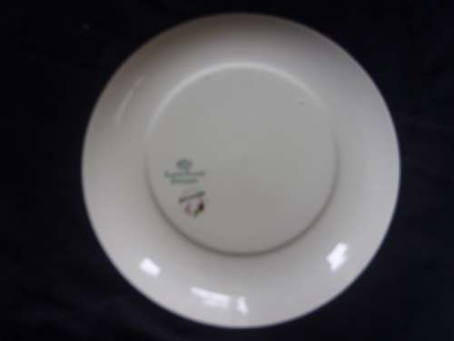 Vintage huge Alfred Meakin "Brixham" meat platter and 6 dinner plates