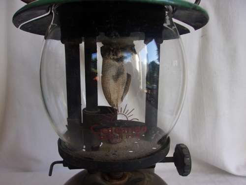 Vintage WW2 era Coleman pressure lantern for restoration - made in Canada