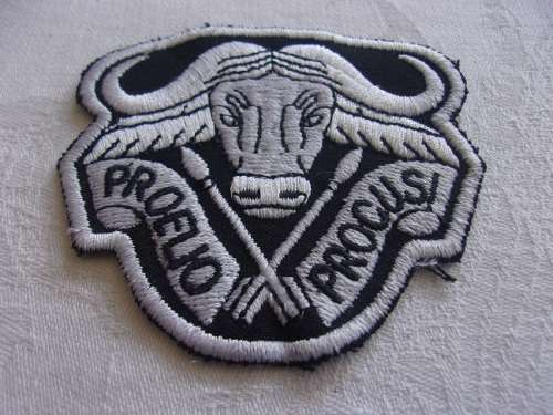 Vintage SADF 32 Battalion cloth shoulder badge