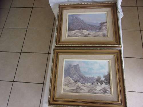 2 Lovely framed original oil on canvas paintings by Nico Coetzee for 1 bid