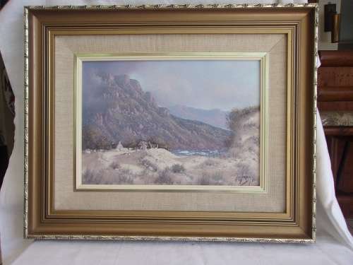 2 Lovely framed original oil on canvas paintings by Nico Coetzee for 1 bid