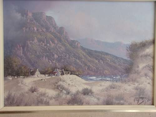 2 Lovely framed original oil on canvas paintings by Nico Coetzee for 1 bid