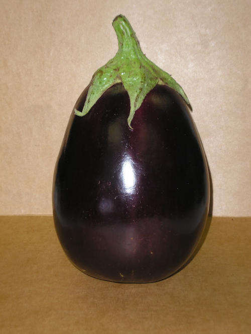 100 BLACK BEAUTY EGGPLANT Solanum Melongena Seeds