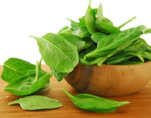 100 BLOOMSDALE SPINACH Spinacia Oleracea Seeds