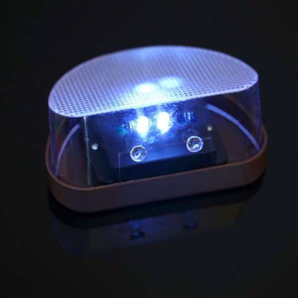 Outdoor Solar Powered Wall 2 LED Landscape Light