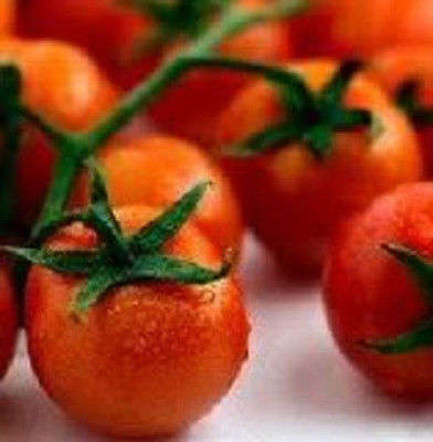 30 SMALL CHERRY TOMATO Lycopersicon Seeds