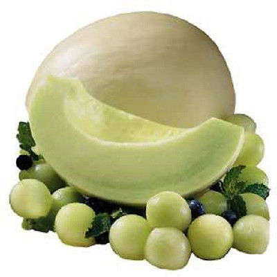 15 HONEY DEW GREEN FLESH Cucumis Melo Melon Fruit Seed