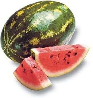 10 CRIMSON SWEET WATERMELON Melon Seeds