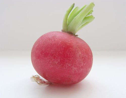 100 CRIMSON GIANT RADISH Raphanus Sativus Seeds