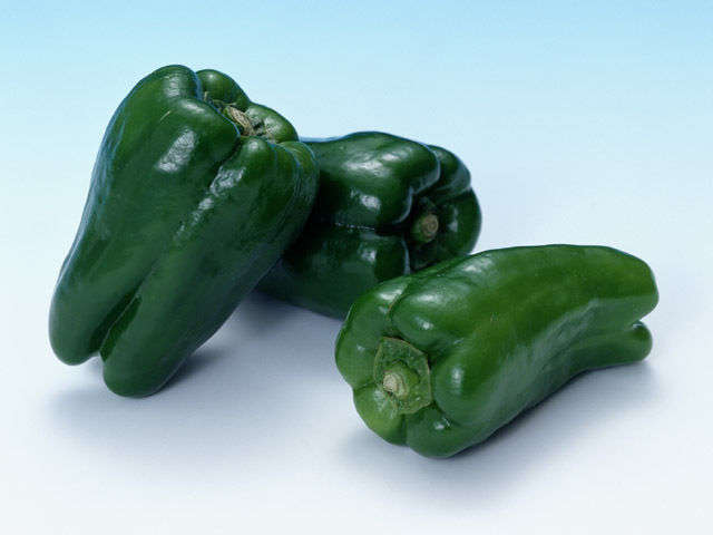 10 ANCHO POBLANO CHILI PEPPER Capsiccum Annuum Seeds