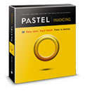 Pastel Invoicing