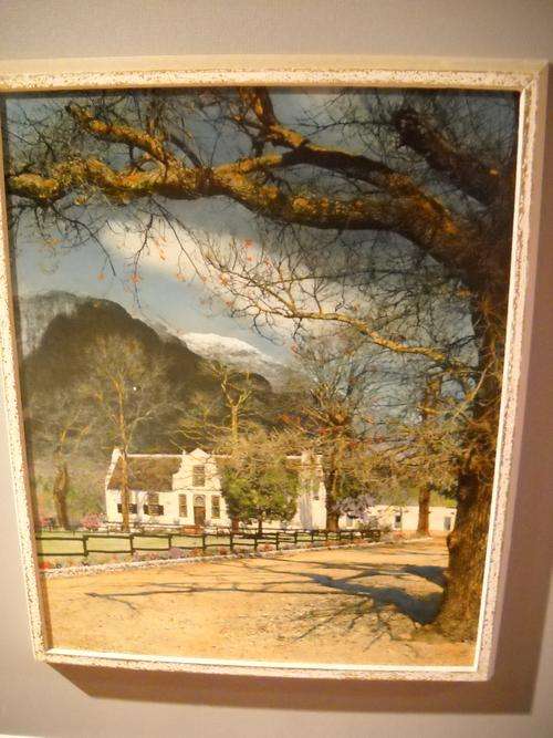 VINTAGE LARGE COLOURED IN COLOURPHOTOGRAPH WINELANDS BY CAPETOWN PHOTOGRAPHER ARTHUR ENGLISH