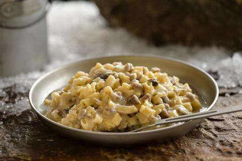 Mountain House Beef Stroganoff With Noodles