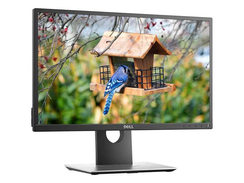 Dell P2017H 20` LED Backlight LCD Monitor