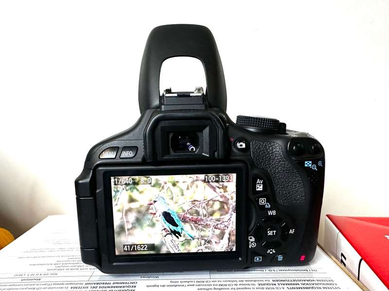 Canon EOS 600D DSLR Camera with Canon EFS 18-55mm AF/MF macro Lens  Canon EFS 55-250mm Zoom Lens Ori