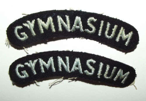 SAAF Gymnasium Cloth Shoulder Titles