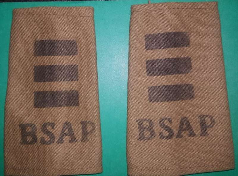 Original Rhodesia BSAP Section Officer  Slip On Rank Badges
