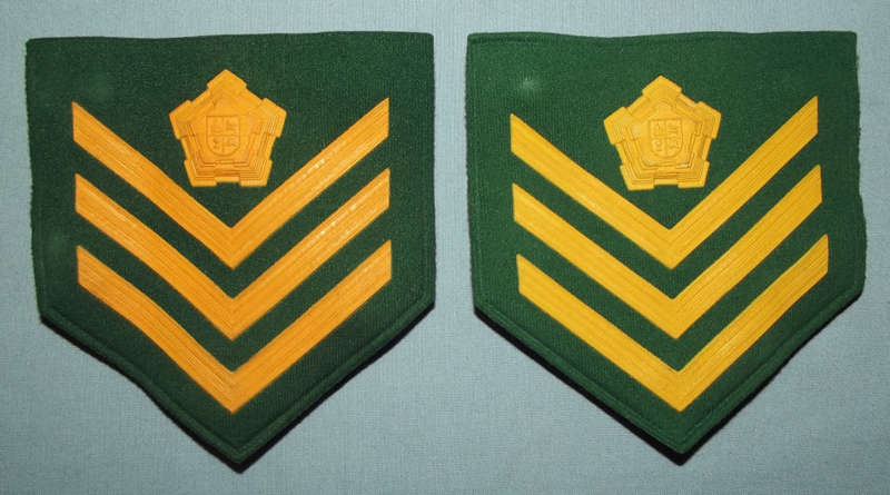 SA Prison Service Sergeant Green Rubber Shoulder Rank Badges