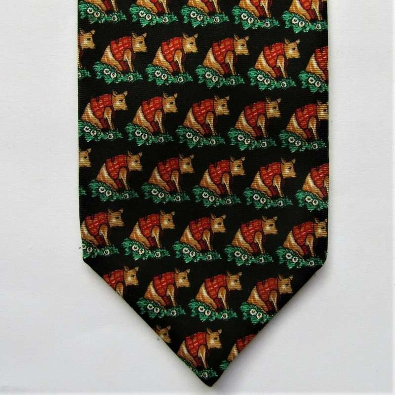 Pierre Cardin Paris Designer Neck Tie
