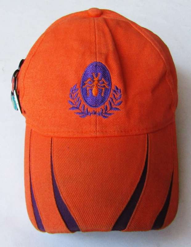 Thaba Padvinders Cap With 11 Pin Badges