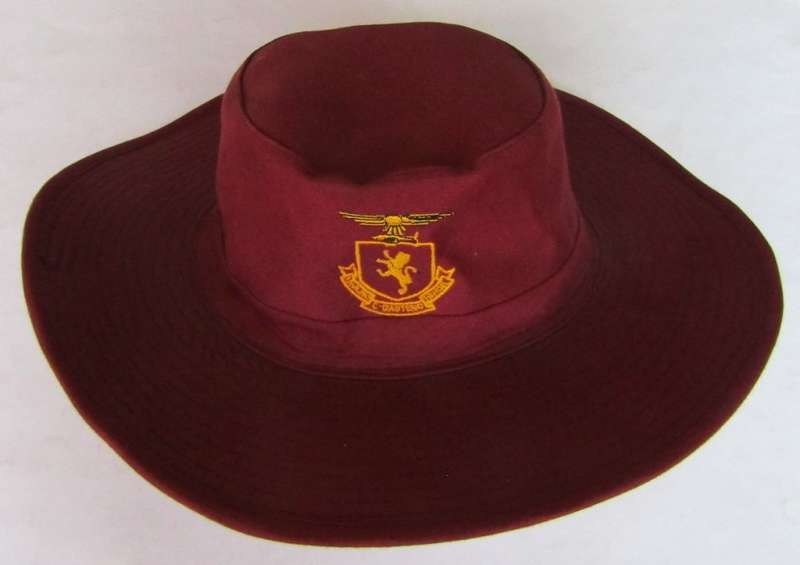 SAAF Insignia Hat