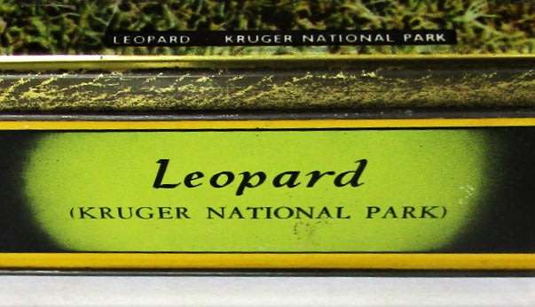 Old Kruger National Park Leopard Tin