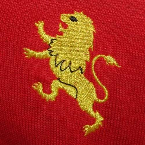 Old Transvaal Lions Long Sleeve Rugby Jersey