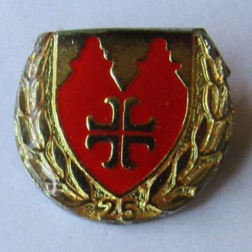 Old 25 Metal Lapel Pin Badge