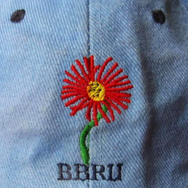 Old Blou Bulle Rugby Unie Cap