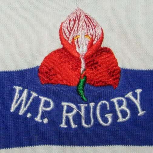 Old WP Western Province Rugby Jersey - Large Size