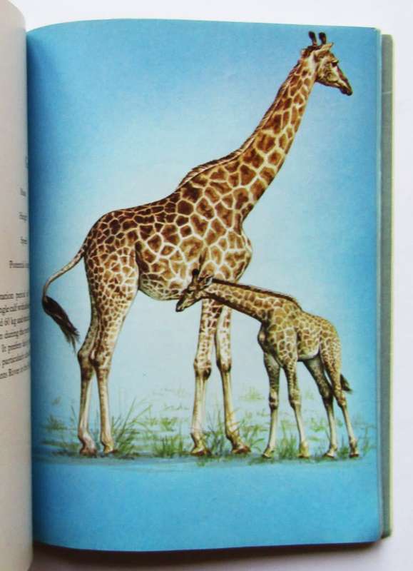 1986 Mammals of the Kruger Park Wildtuin Booklet