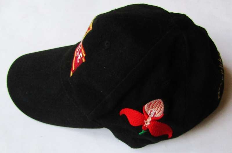 2003 Bulls vs WP Rugby Cap