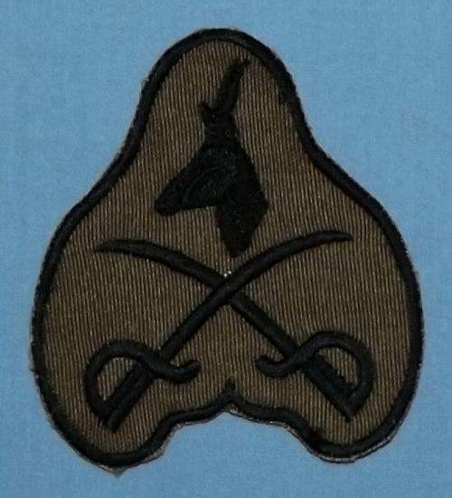 SADF Army PT Instructor Nutria Breast Badge