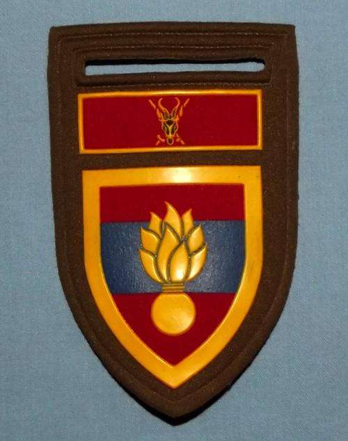 SADF School of Engineers Nutria Rubber Arm Flash