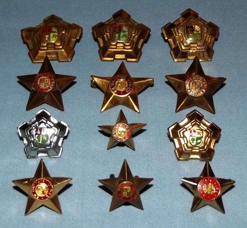 12 SADF Officers Star + Castle Metal Rank Pips