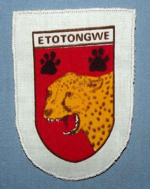 KOEVOET ETOTONGWE CLOTH PRINTED TYPE ARM FLASH