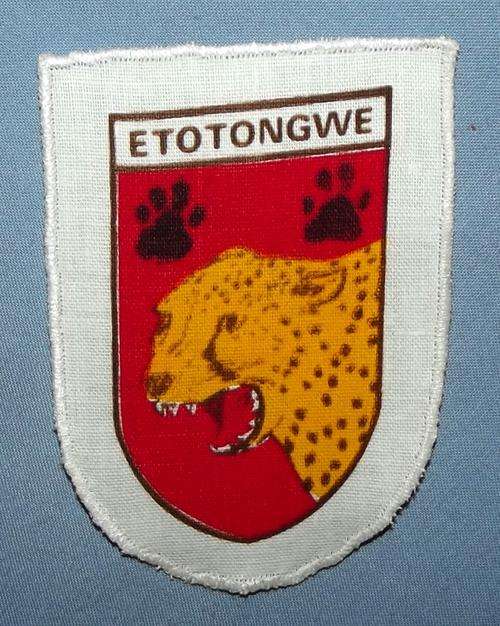 KOEVOET ETOTONGWE CLOTH PRINTED TYPE ARM FLASH