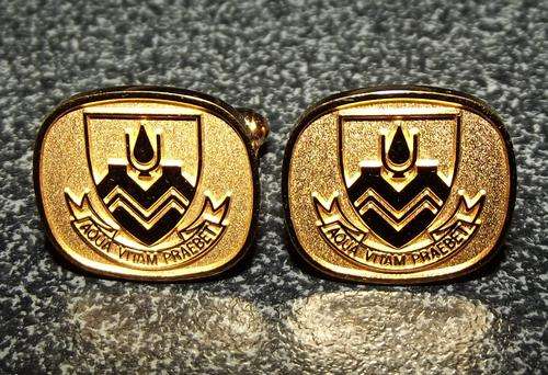Old "Aqua Vitam Praebet" Water Gives Life Gilt Metal Cufflinks