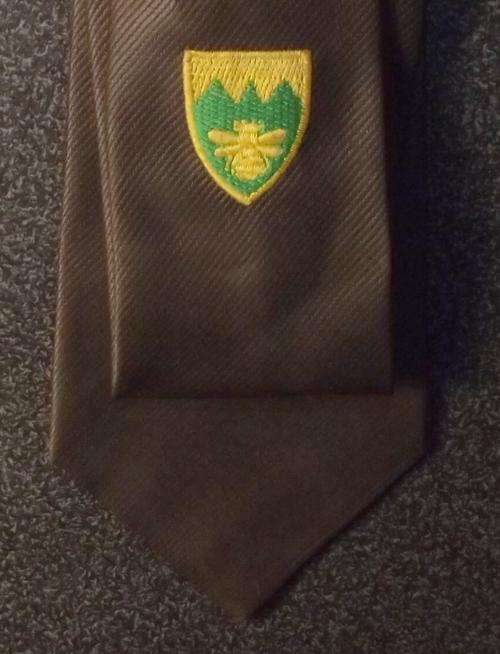 Old Brown Insignia Tie